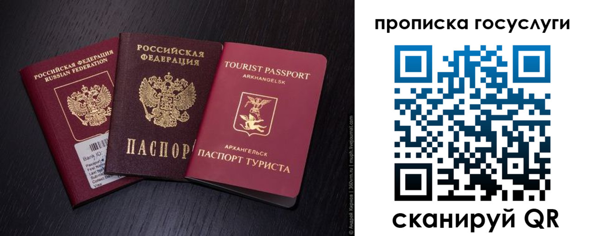 прописка 2025 в Талице